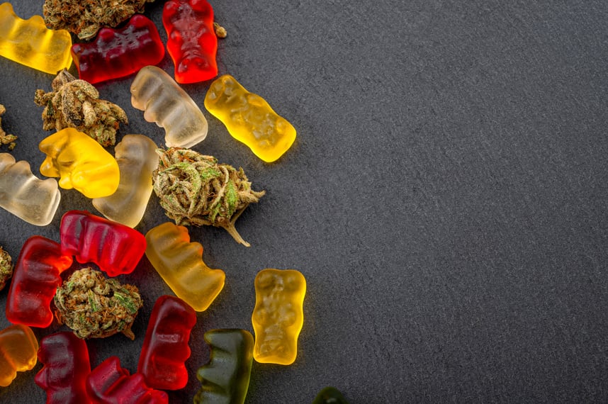 Cannabis edibles, medical marijuana, CBD infused gummies and edible pot concept theme with close up on colorful gummy bears and weed buds on dark background with copyspace